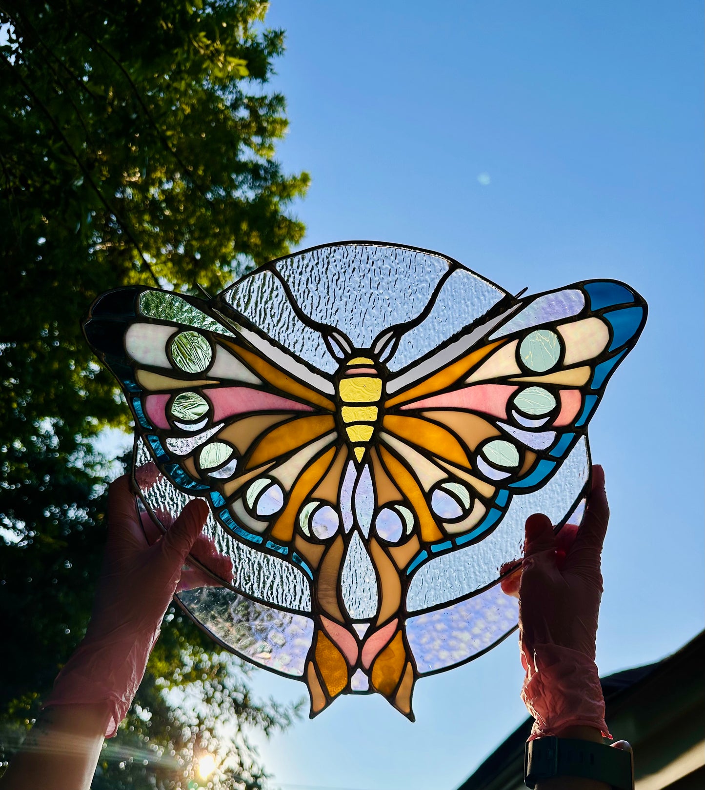 lunar moth